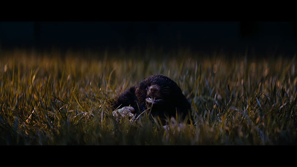 愛して飲んで歌っての画像