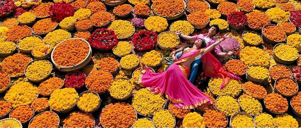 チェンナイ・エクスプレス 愛と勇気のヒーロー誕生の画像