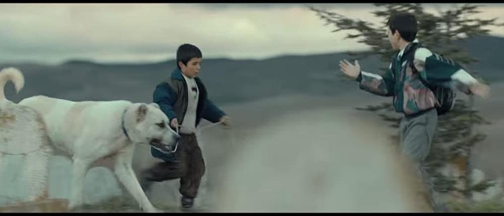 「シーヴァス 王子さまになりたかった少年と負け犬だった闘犬の物語」ドアン・イスジの画像