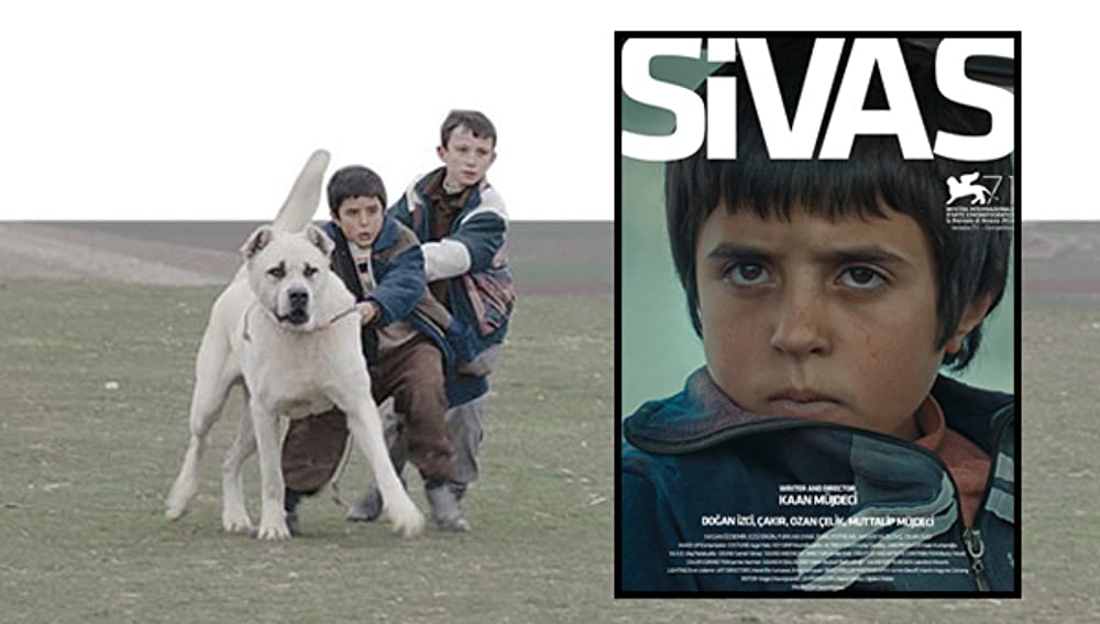 「シーヴァス 王子さまになりたかった少年と負け犬だった闘犬の物語」の画像