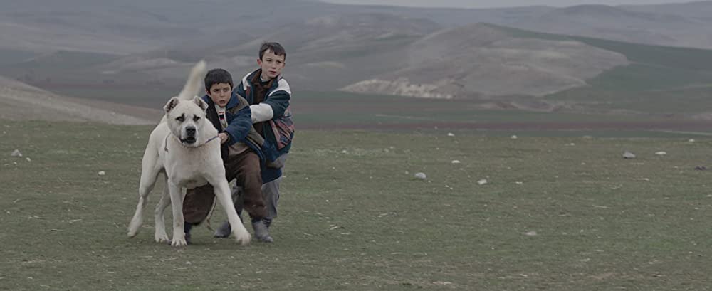 「シーヴァス 王子さまになりたかった少年と負け犬だった闘犬の物語」ドアン・イスジの画像