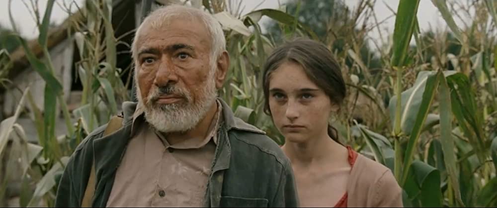 とうもろこしの島の画像