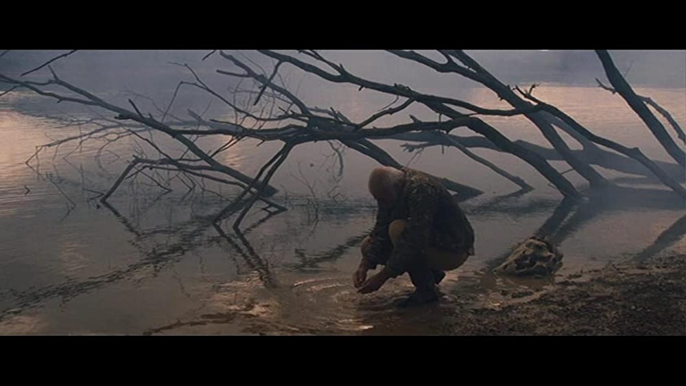 とうもろこしの島の画像