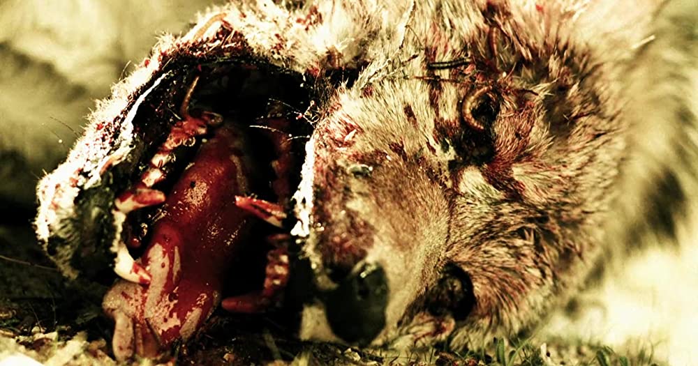 サベージ・キラーの画像