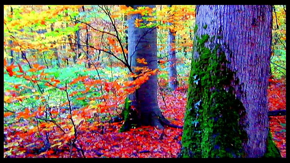 さらば、愛の言葉よの画像