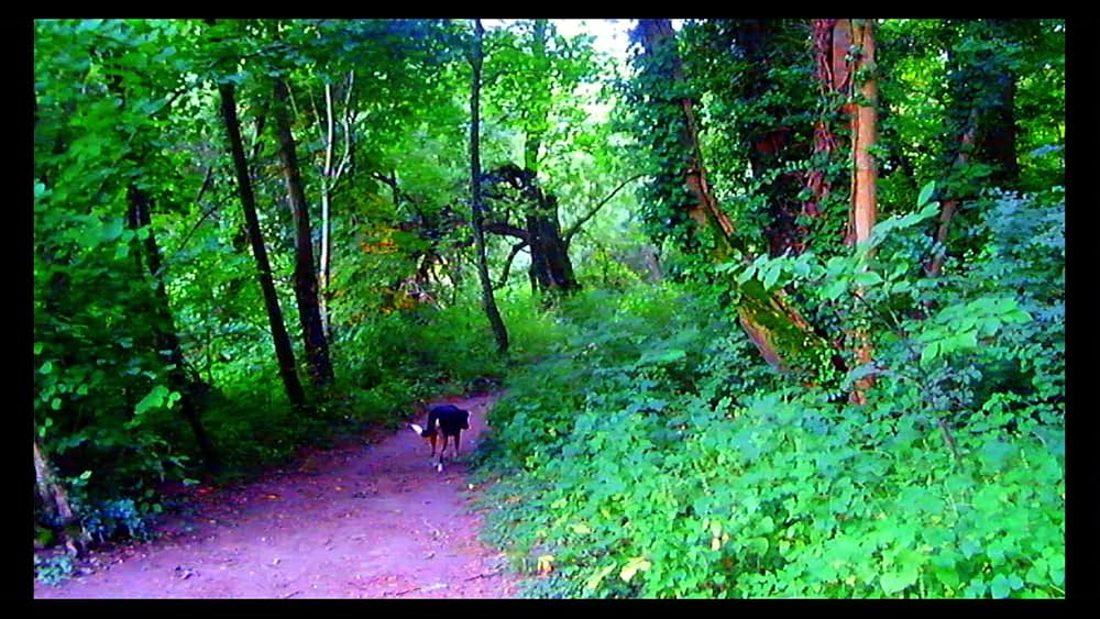 さらば、愛の言葉よの画像