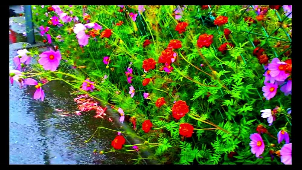 さらば、愛の言葉よの画像