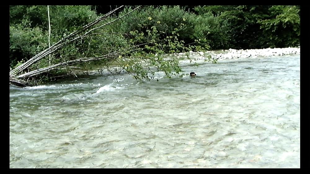 さらば、愛の言葉よの画像