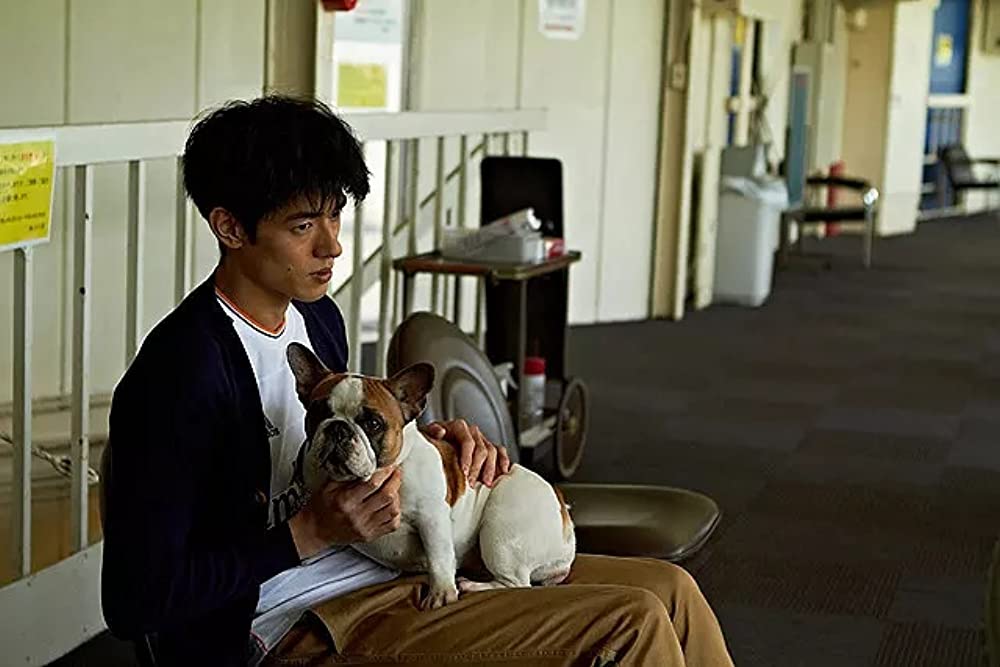 グッド・ストライプスの画像