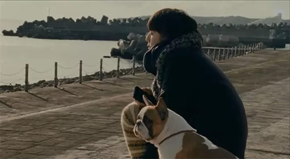 グッド・ストライプスの画像