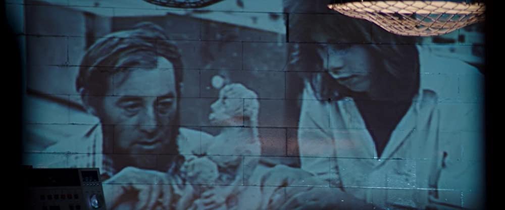 ニック・ケイヴ 20,000デイズ・オン・アースの画像