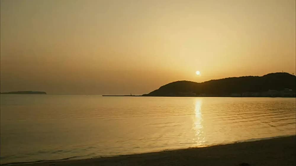 はなちゃんのみそ汁の画像