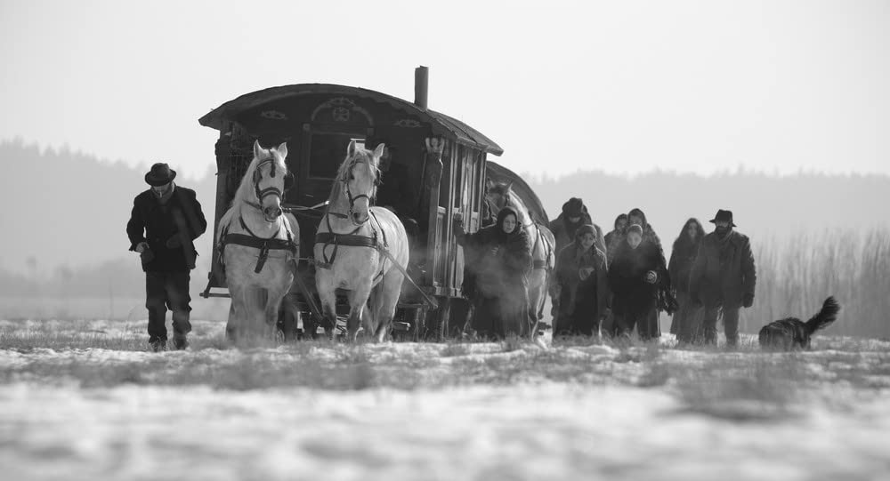 パプーシャの黒い瞳の画像
