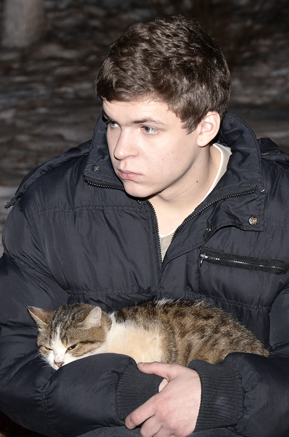 ザ・トライブの画像