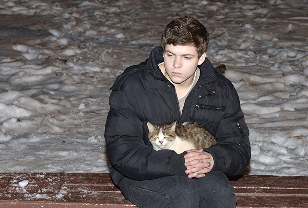 ザ・トライブの画像