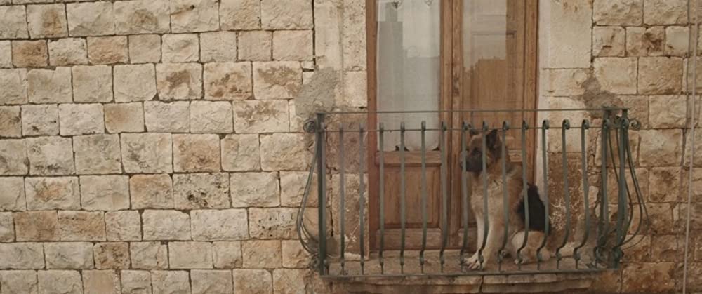 モンスター 変身する美女の画像