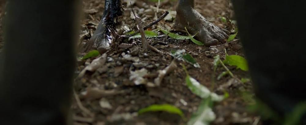 インド・オブ・ザ・デッドの画像