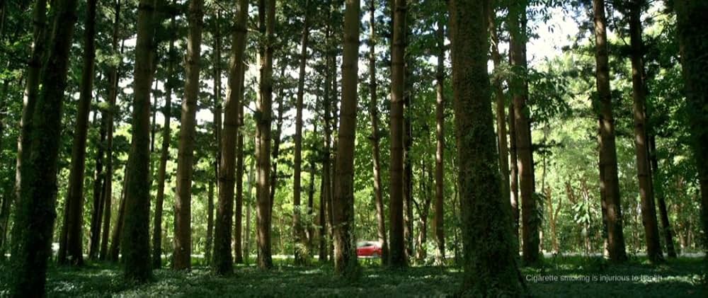 インド・オブ・ザ・デッドの画像