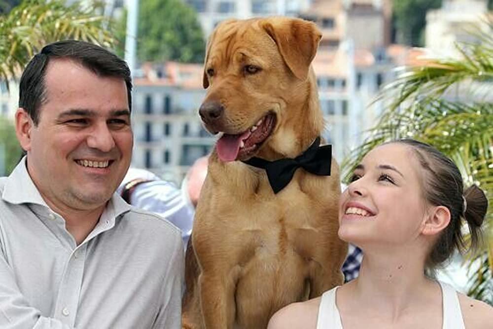 ホワイト・ゴッド 少女と犬の狂詩曲の画像