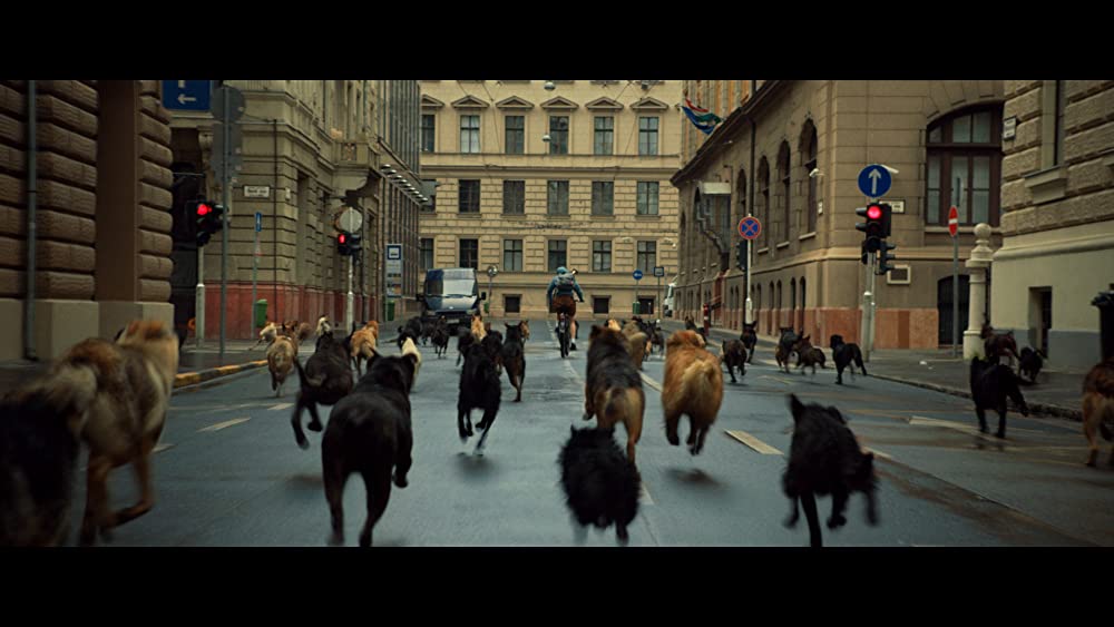 ホワイト・ゴッド 少女と犬の狂詩曲の画像