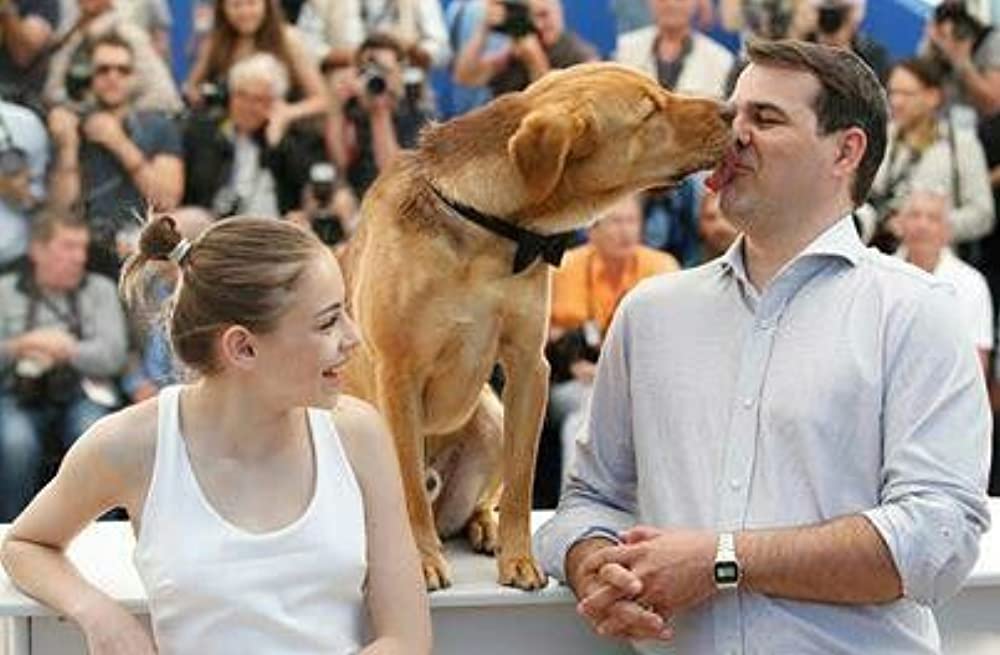 「ホワイト・ゴッド 少女と犬の狂詩曲」コーネル・ムンドルッツォ & ジョーフィア・プショッタの画像