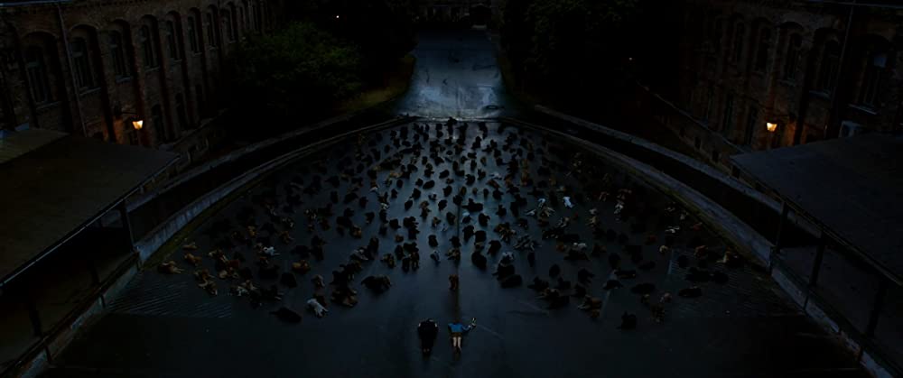 ホワイト・ゴッド 少女と犬の狂詩曲の画像