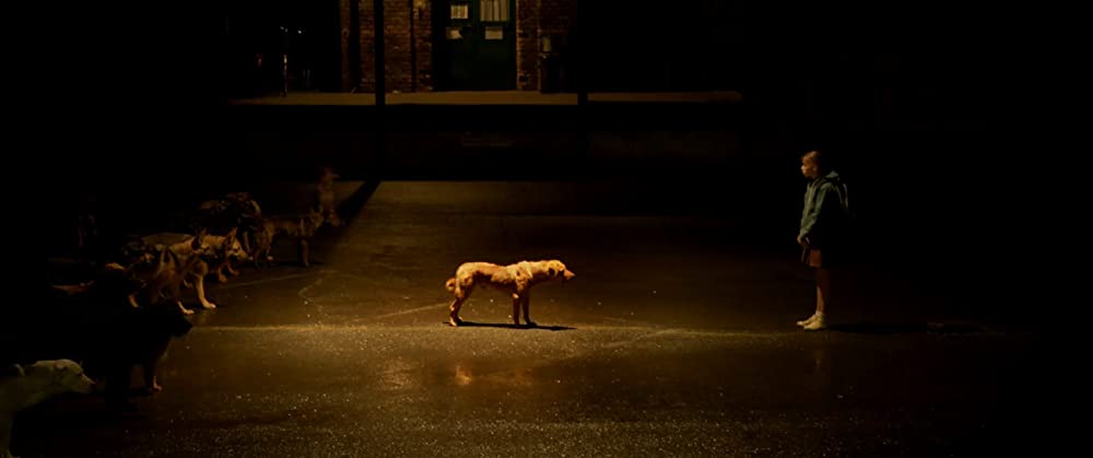 ホワイト・ゴッド 少女と犬の狂詩曲の画像
