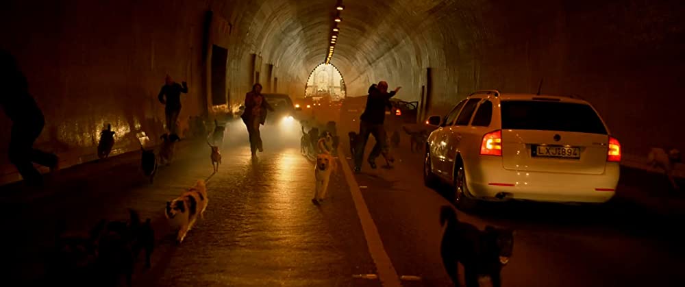 ホワイト・ゴッド 少女と犬の狂詩曲の画像