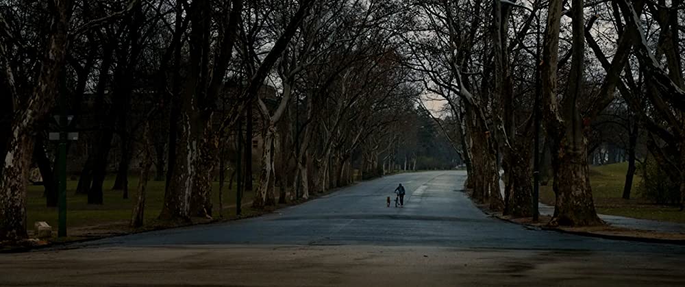 ホワイト・ゴッド 少女と犬の狂詩曲の画像