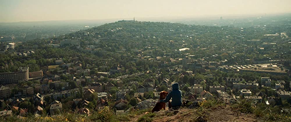 ホワイト・ゴッド 少女と犬の狂詩曲の画像