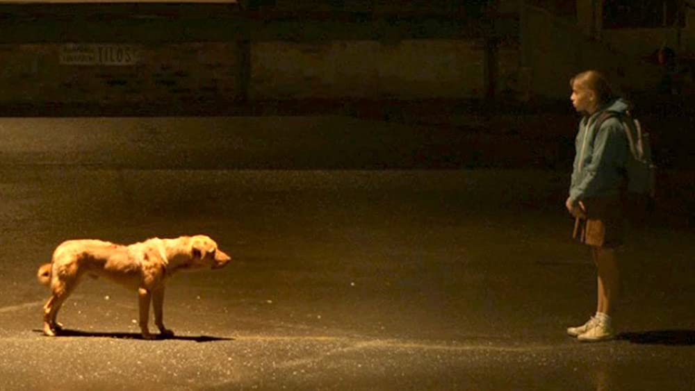 ホワイト・ゴッド 少女と犬の狂詩曲の画像