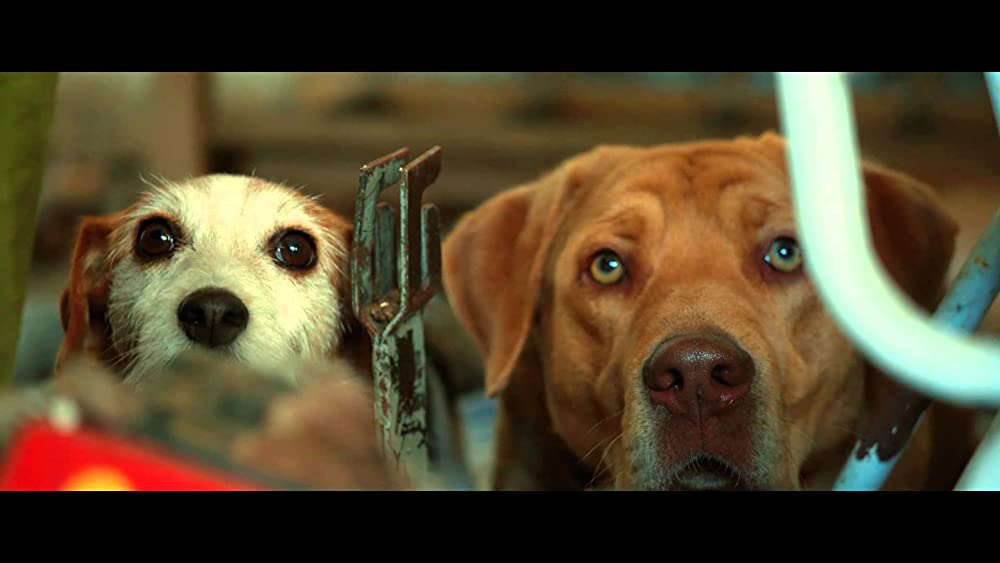 ホワイト・ゴッド 少女と犬の狂詩曲の画像