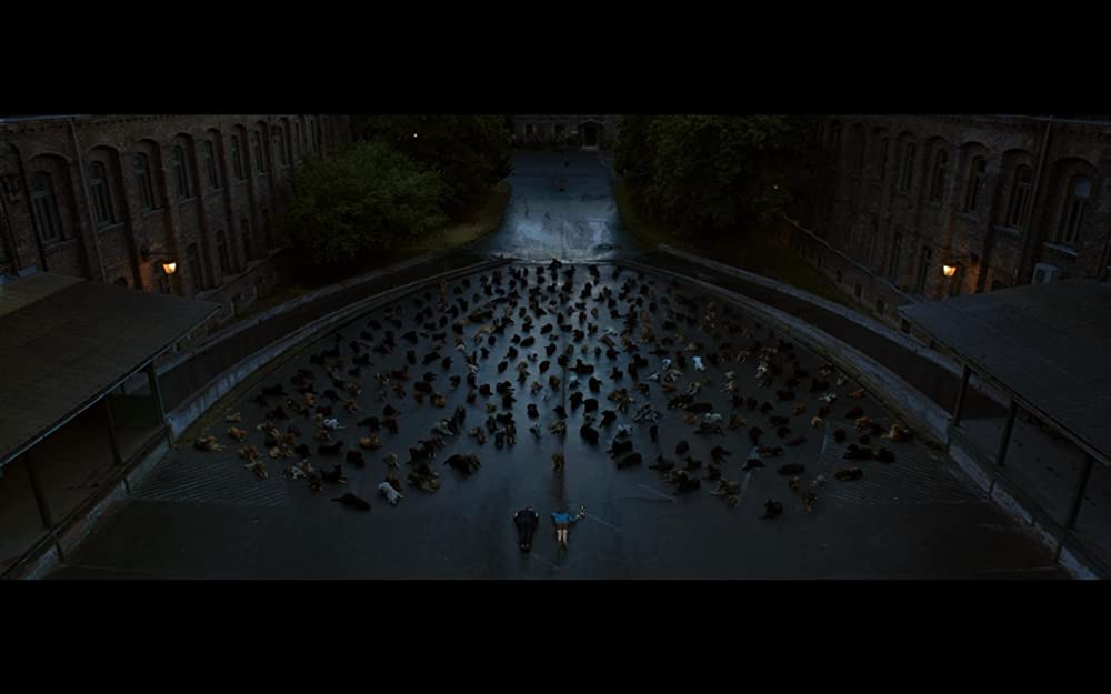 ホワイト・ゴッド 少女と犬の狂詩曲の画像