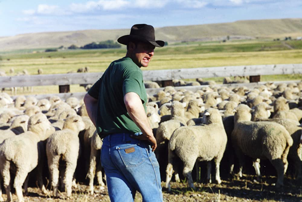 モンタナ 最後のカウボーイの画像