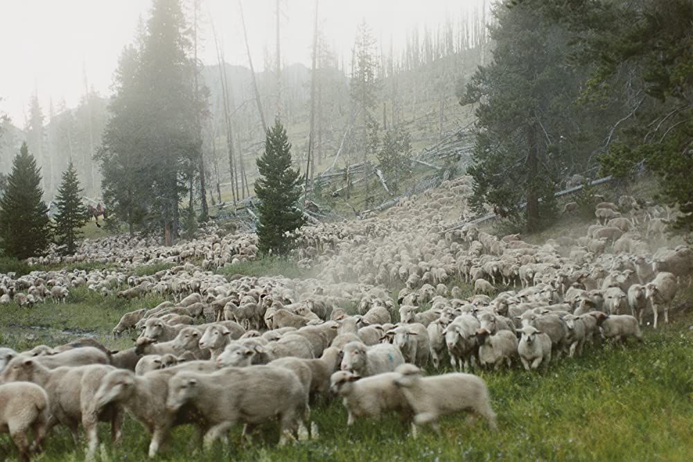 モンタナ 最後のカウボーイの画像