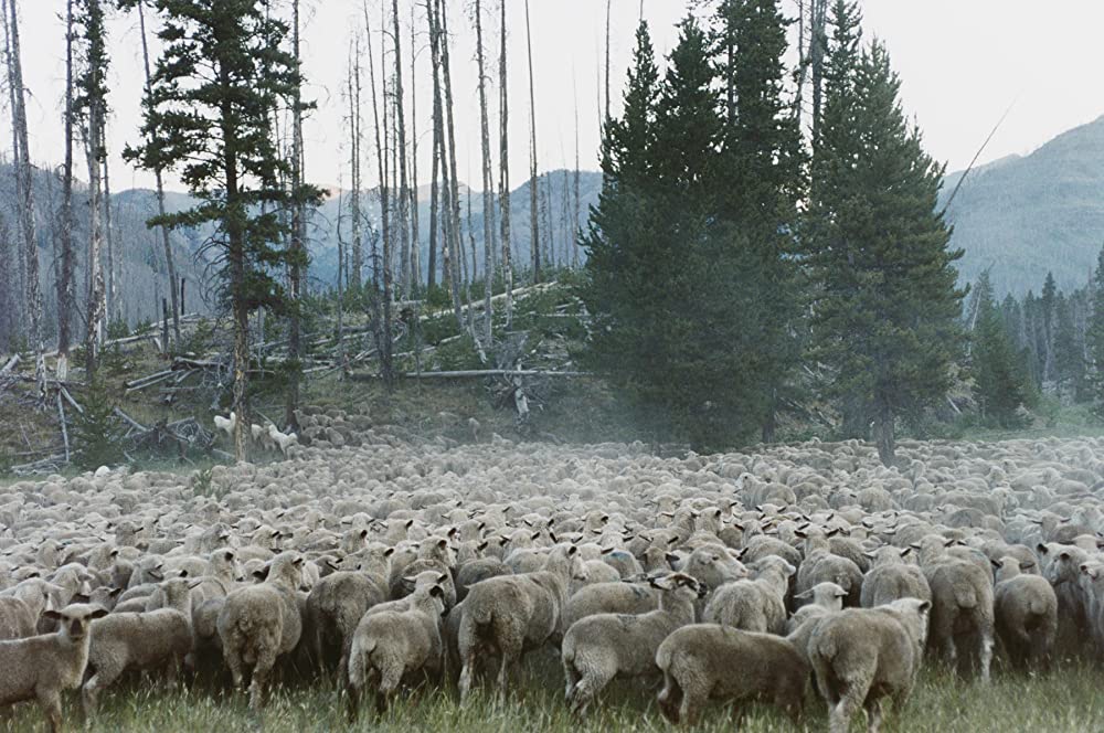 モンタナ 最後のカウボーイの画像
