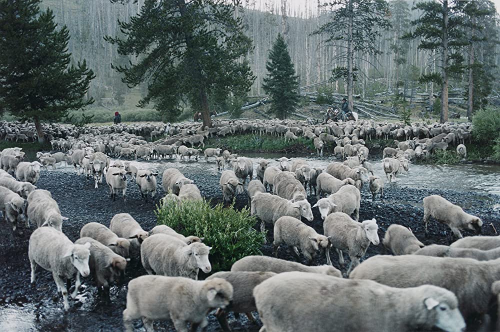 モンタナ 最後のカウボーイの画像