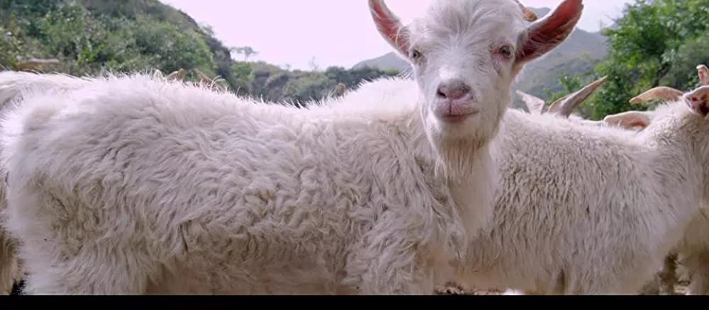 「スキップ・トレース」の画像