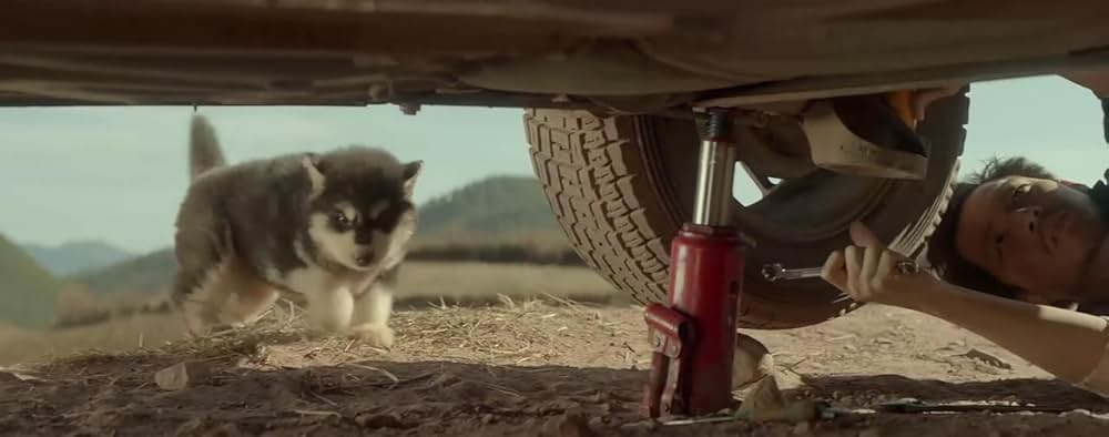 いつか、またの画像