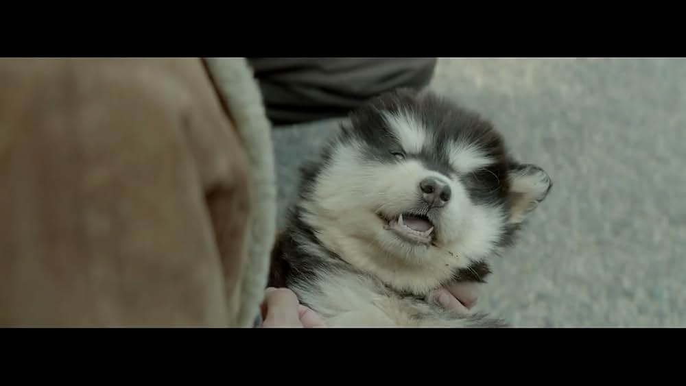 いつか、またの画像