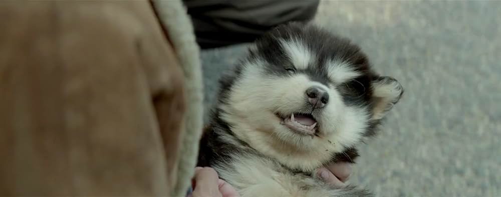 いつか、またの画像