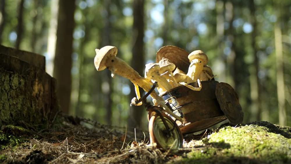 クーキーの画像