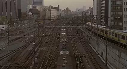 ヤンヤン 夏の想い出の画像