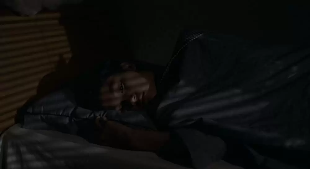 ヤンヤン 夏の想い出の画像