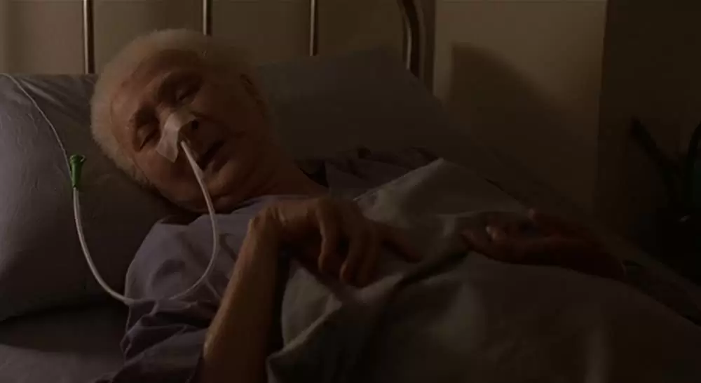 ヤンヤン 夏の想い出の画像