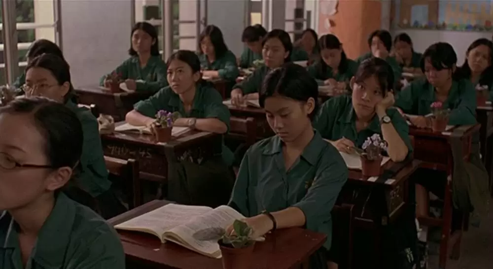 ヤンヤン 夏の想い出の画像