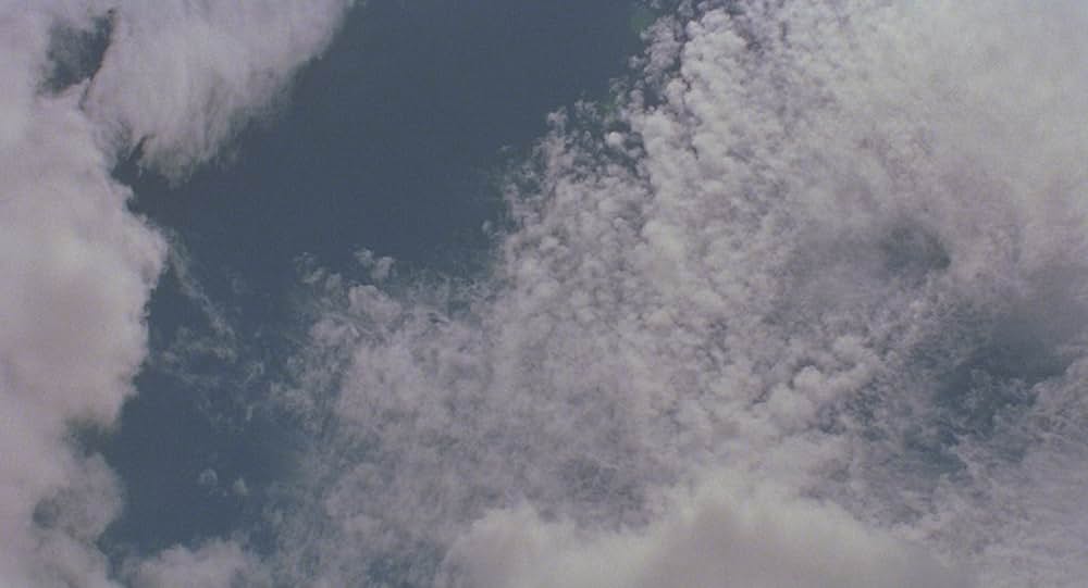 ヤンヤン 夏の想い出の画像