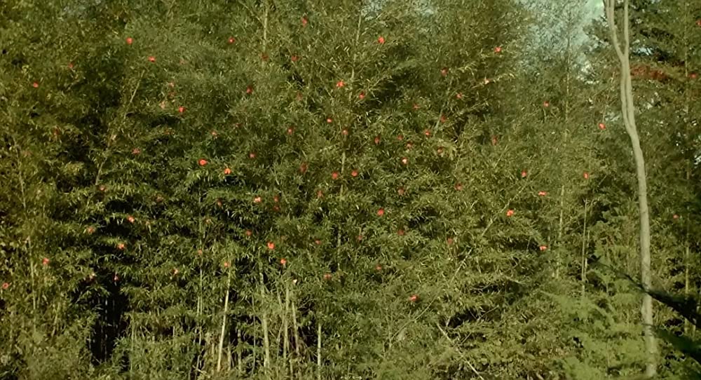 「さようなら」の画像