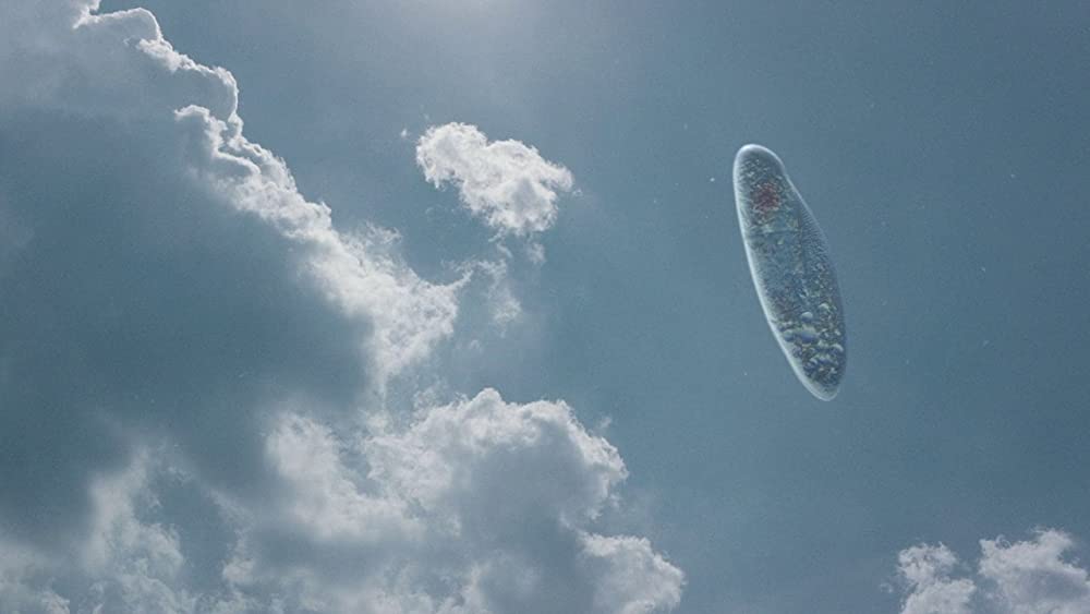 光りの墓の画像