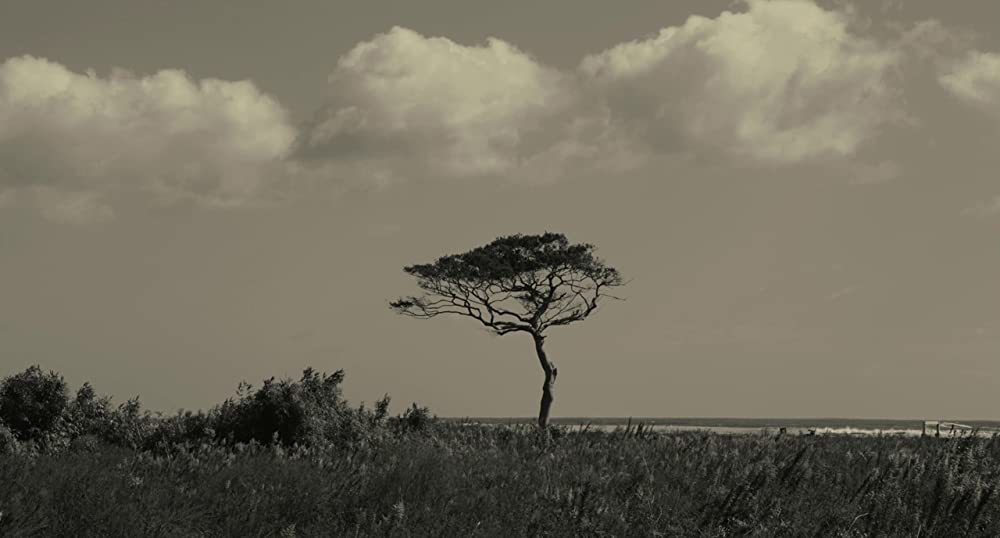 ひそひそ星の画像